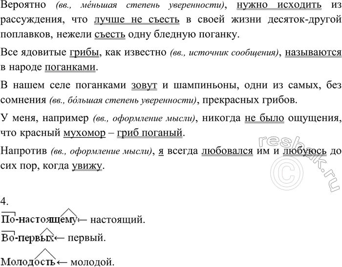 Дополнительное изображение